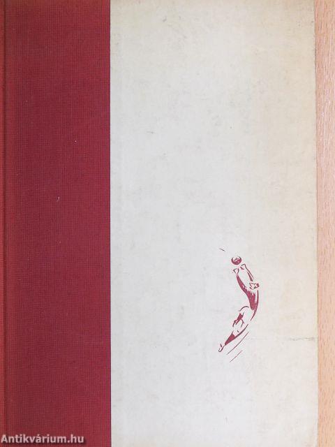 Így láttam a kapuból