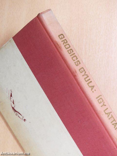 Így láttam a kapuból