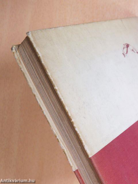 Így láttam a kapuból