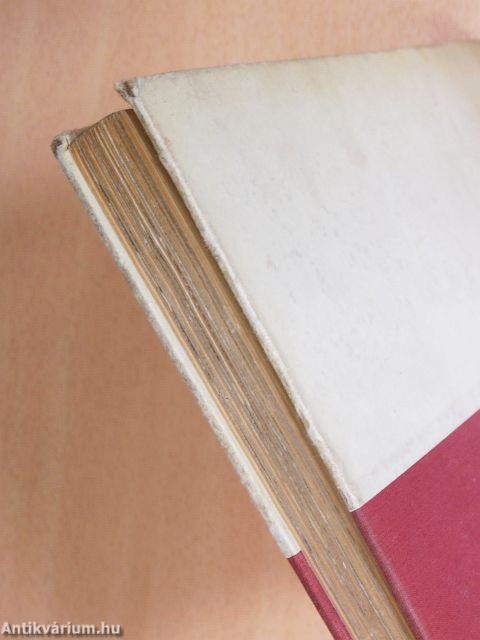 Így láttam a kapuból