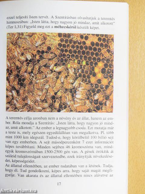 Megújulás a hitben