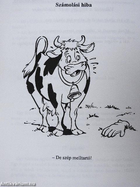 A matematikaórák humora