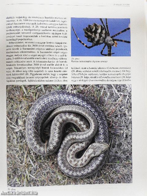 A Kárpát-medence állatvilágának kialakulása