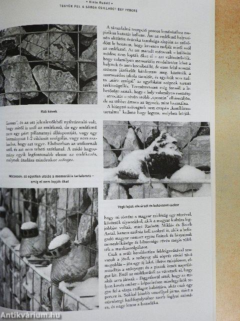 Múlt és Jövő 2009/4.