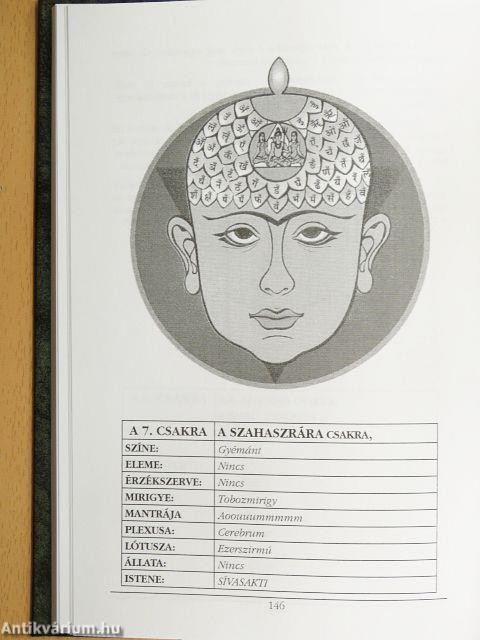 Mindennapi csoda II.