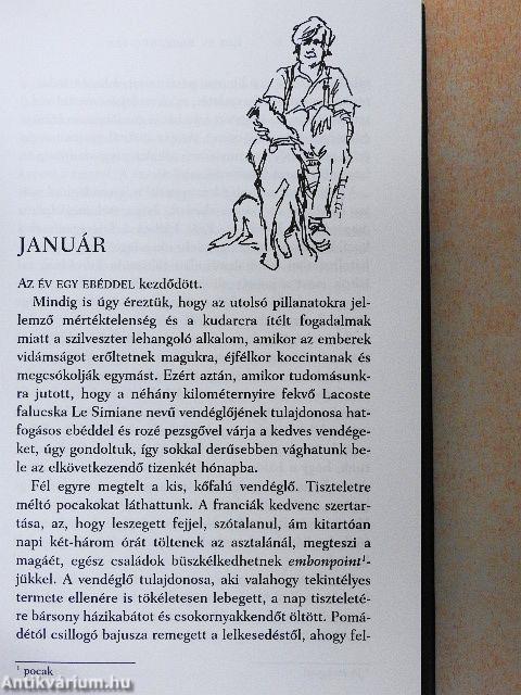 Egy év Provence-ban