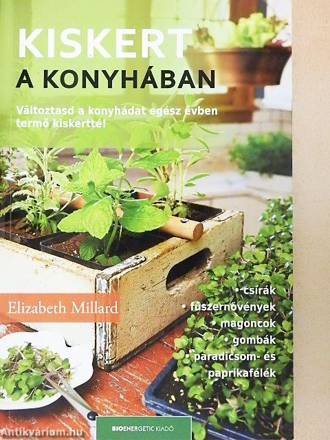 Kiskert a konyhában