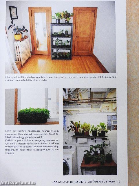 Kiskert a konyhában