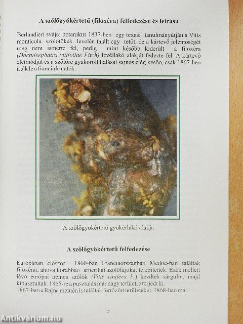 Teleki Zsigmond élete és munkássága