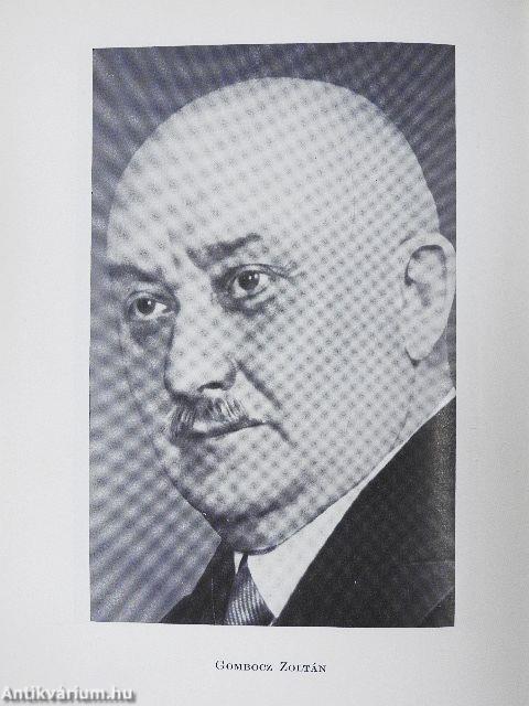 A magyar nyelv életrajza