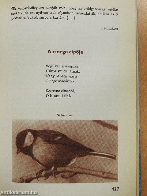 Mórától Móráról