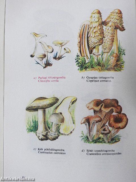 Növényhatározó I-II.