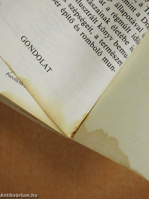 Állatkerti emlősök 1.