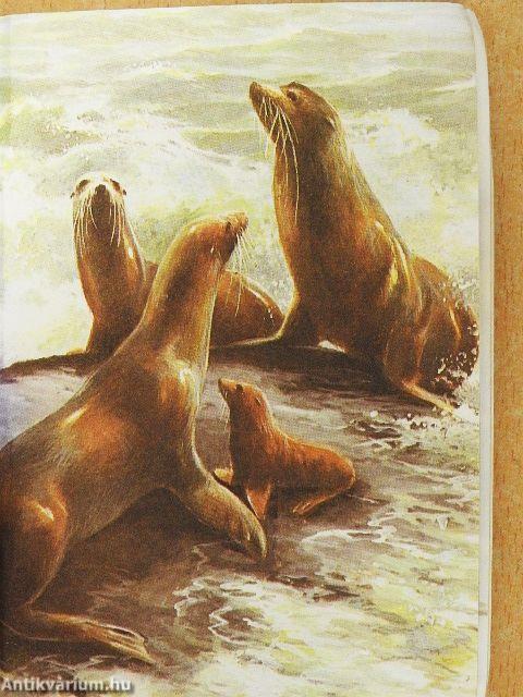 Állatkerti emlősök 1.