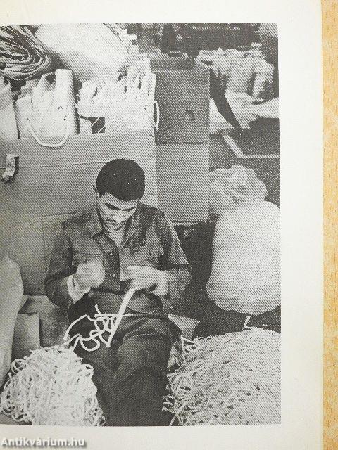 Márianosztrai panoptikum