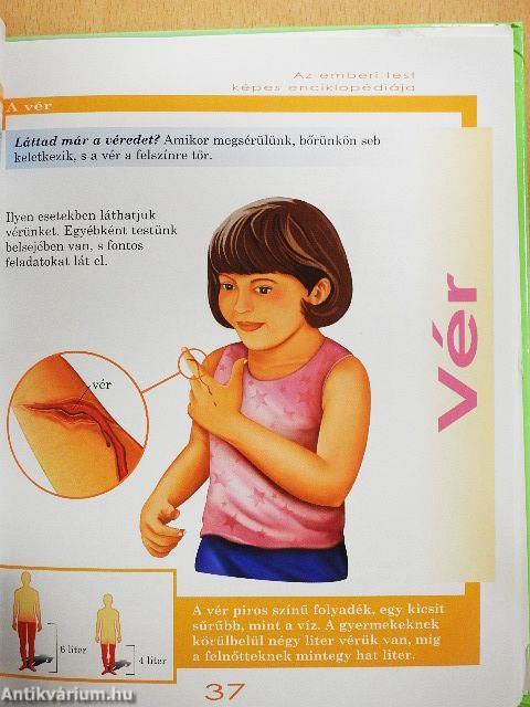 Az emberi test képes enciklopédiája