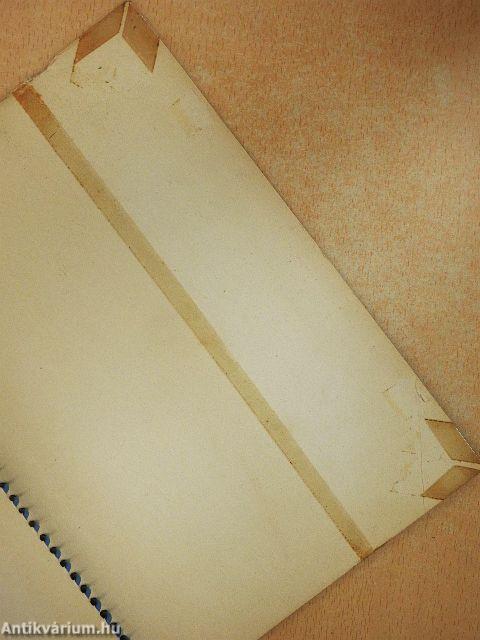 SKF Golyós és görgős csapágyak 6000 sz. főkatalógus