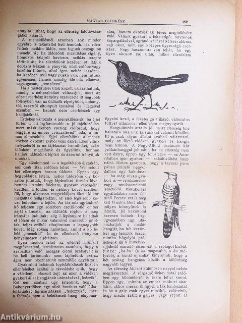 Magyar Cserkész 1925. június 15.