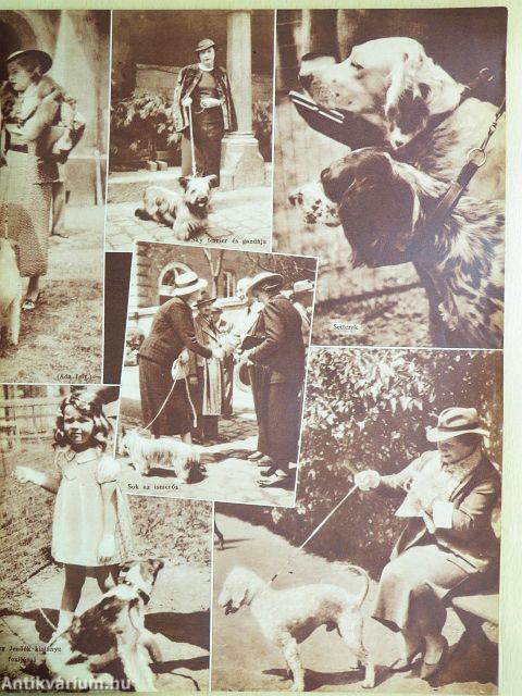 Vasárnapi Ujság 1935. május 19.