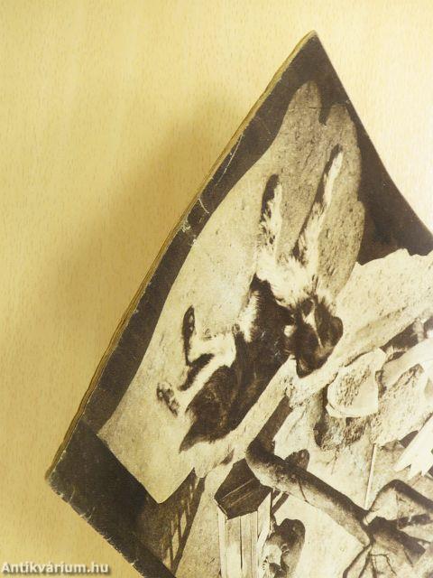 Gyermekvilág 1943. március 15.