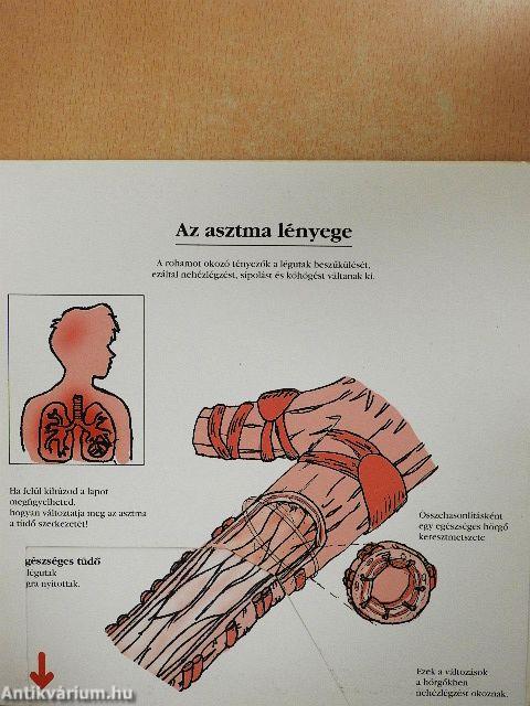 Az ASZTMÁRÓL gyerekeknek