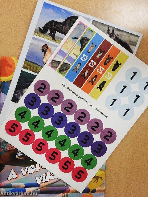 A versenyzés világa