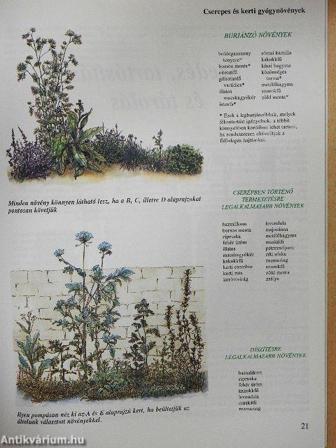 Gyógynövények