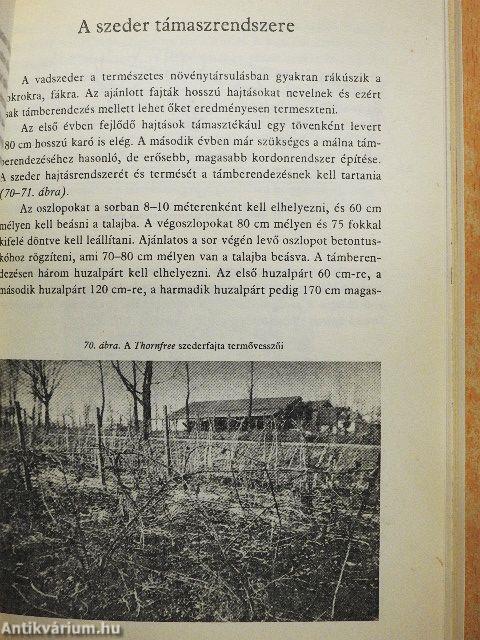 Bogyósgyümölcsűek