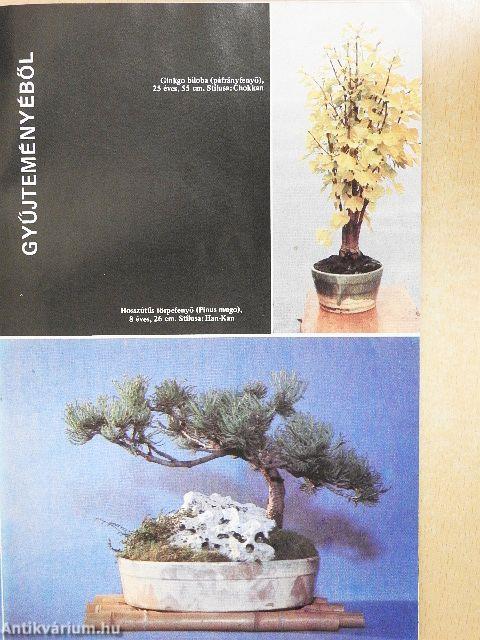 Bonsai Magazin 1988. tavasz