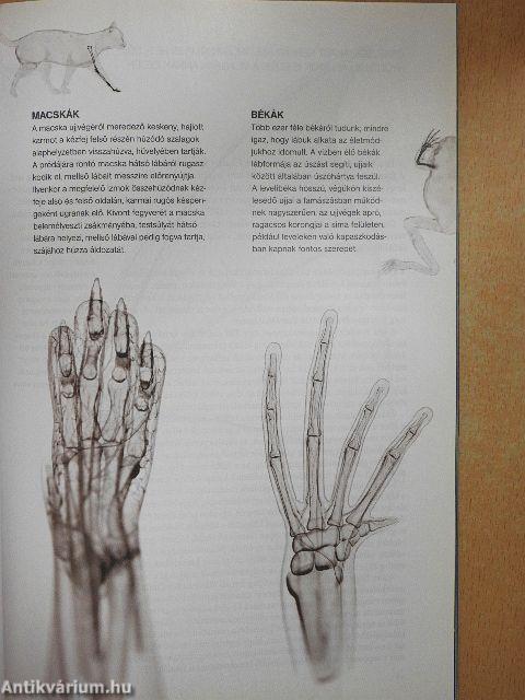 National Geographic 2012. (nem teljes évfolyam)