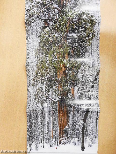 National Geographic 2012. (nem teljes évfolyam)