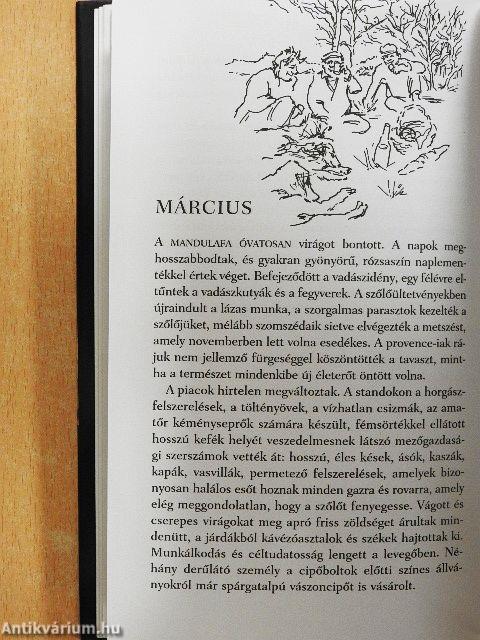 Egy év Provence-ban