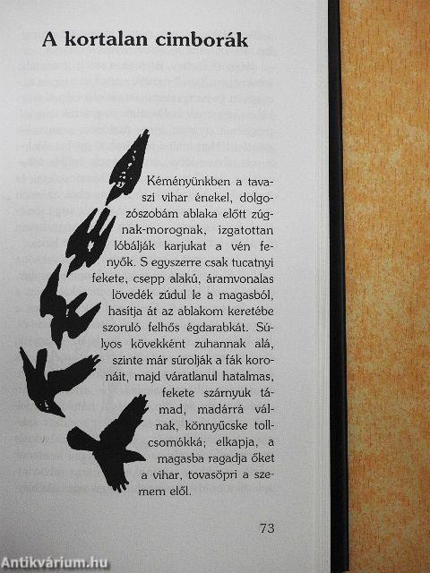 Salamon király gyűrűje