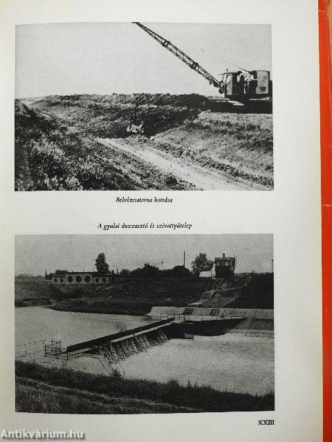 Gyula a fordulat évétől az 1970-es évtizedig