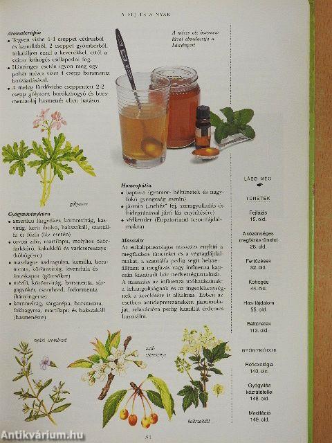 Kiegészítő gyógymódok