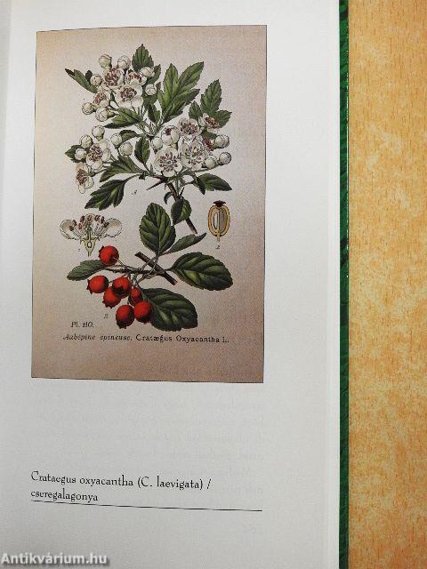 Magyar irodalmi herbárium