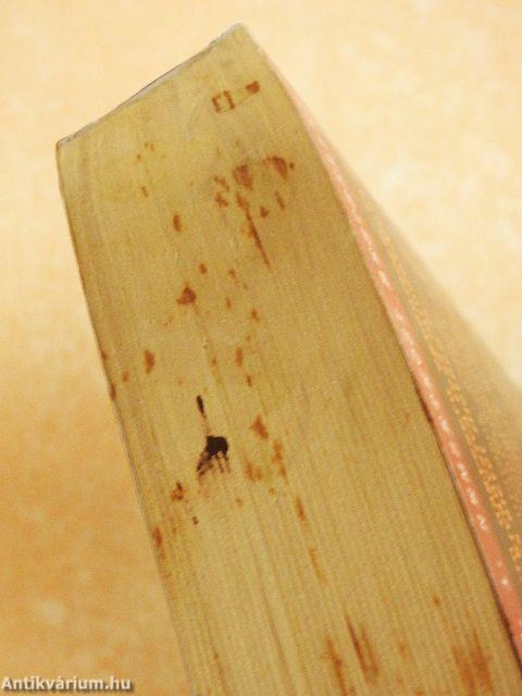 Albert Einstein igaz története