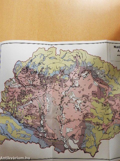 Magyarország népei a XI. században