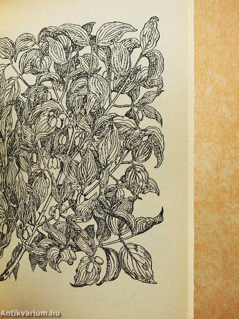 Nyers ételek kincsestára