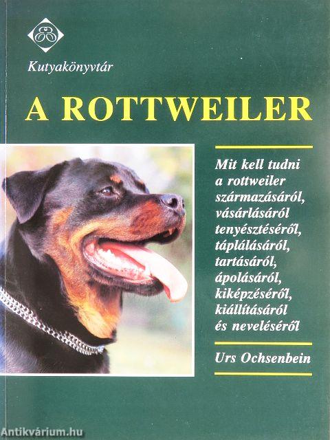 A rottweiler