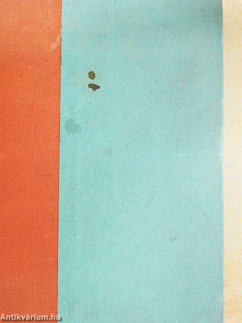 A cica, aki kétszer veszett el