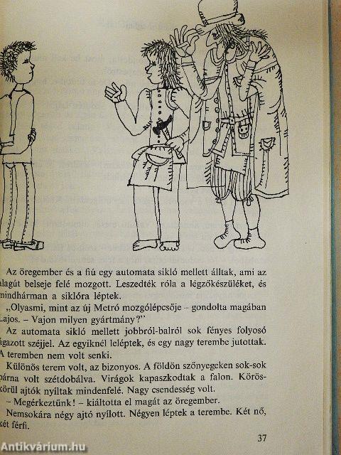 A cica, aki kétszer veszett el