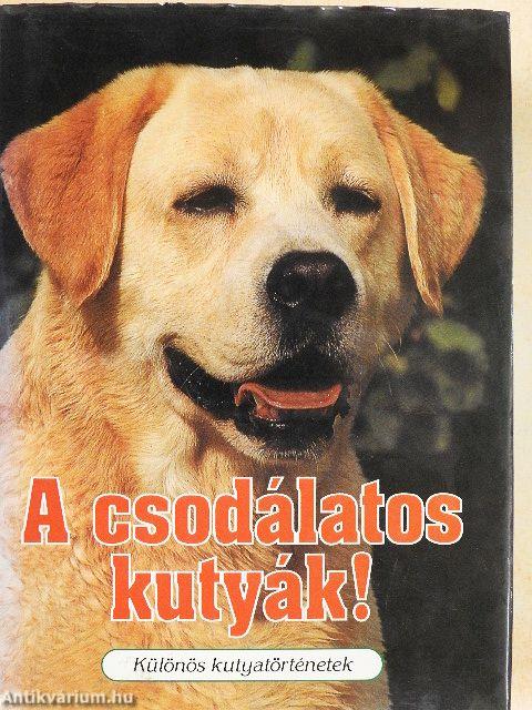 A csodálatos kutyák!