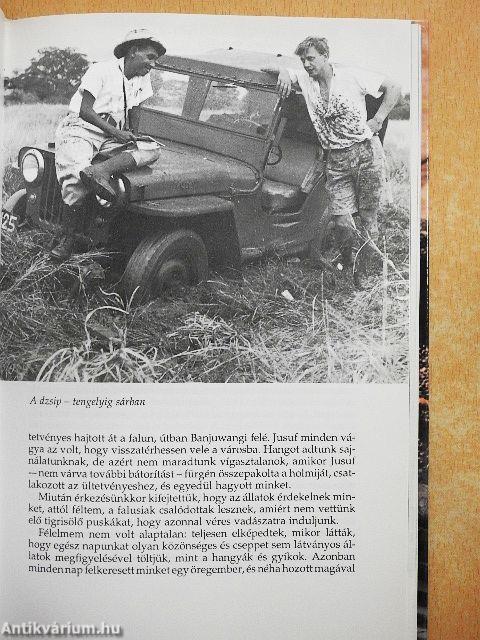 Titokzatos állatok nyomában