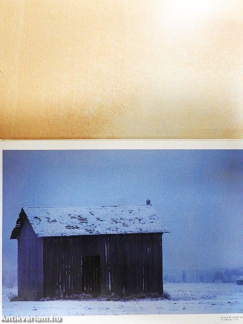 Naturfotografie 88-89