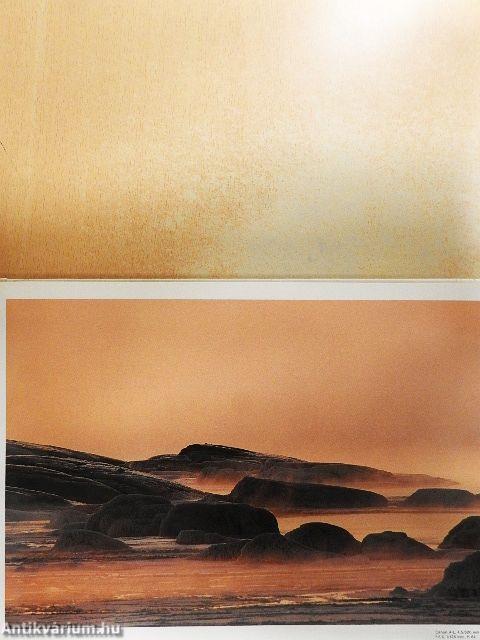 Naturfotografie 87-88