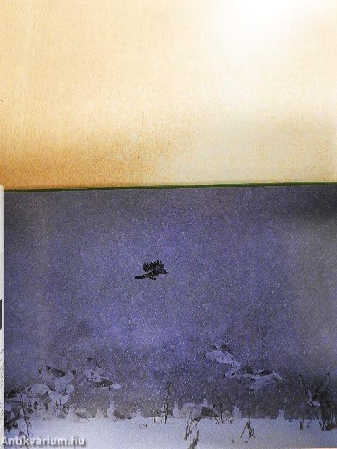 Naturfotografie 86-87