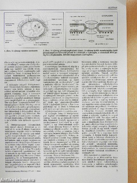 Természet Világa 1996. január-december