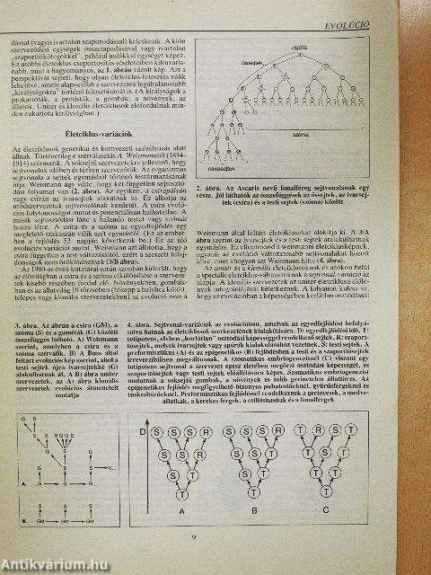 Természet Világa 1992. január-december