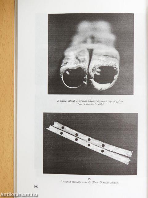 A felgyői avar síp és történeti háttere